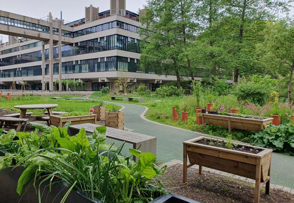 Picture of the podium amenity space at University of Leeds Sustainable Garden